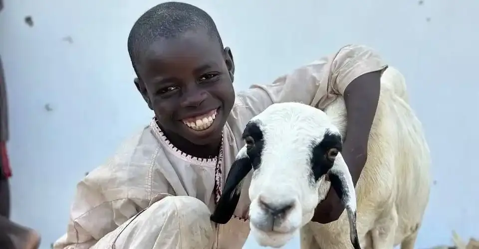 'adak kurbanı nedir?' başlığı için bir kurbanlık hayvan ve ona sarılan Afrikalı çocuk.