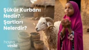 Bir kurbanlık koçun yanında dua eden Afrikalı bir çocuk ve yanında "Şükür Kurbanı Nedir? Şartları Nelerdir?" başlığı.